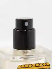 Mango Skin ароматизатор по мотивам духов Vilhelm Parfumerie манго скин