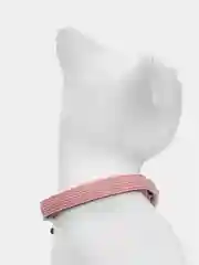Конфетный ошейник для кота / Кошачий ошейник с колокольчиком / Для котов и собак мелких пород