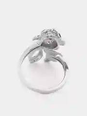 Серый кольцо