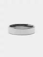 Серебряный кольцо из стали