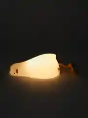 УТИНЫЙ НОЧНИК, СВЕТОДИОДНАЯ ЛЕЖАЩАЯ УТКА