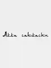 Наклейка на авто / машину / стекло "Алла Сакласын" 35х4см