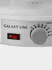 Электросушилка для продуктов GALAXY LINE GL2631, 350 Вт