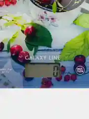 Весы кухонные электронные GALAXY LINE GL2818, 8 кг
