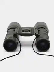 Бинокль Veber Sport БН 12x32 камуфлированный