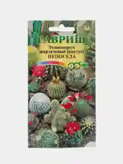 Кактус Эхиноцереус Непоседа (семена,цветы)