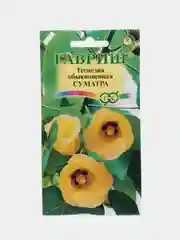 Теспезия Суматра (семена,цветы)