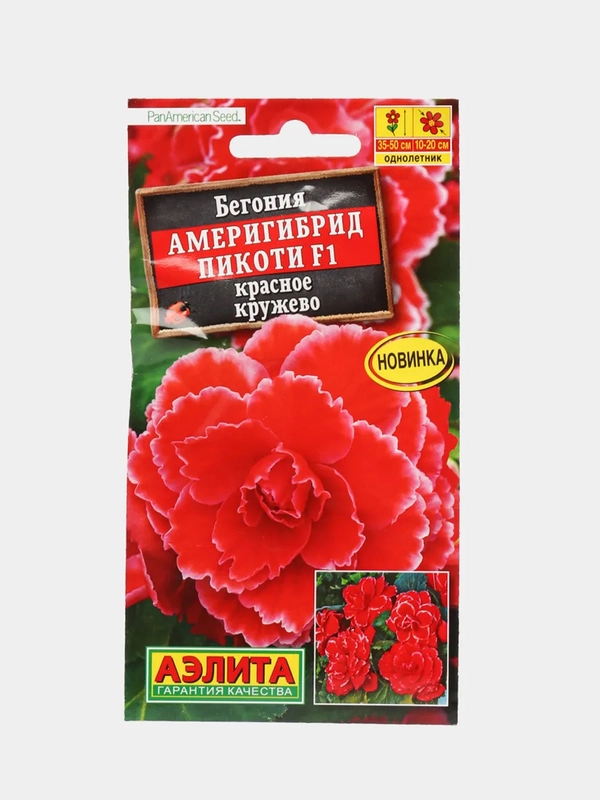 Бегония Америгибрид Пикоти красное кружево (семена,цветы)