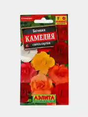 Бегония Камелия (семена,цветы)