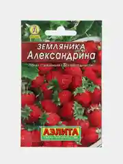 Земляника Александрина (семена)