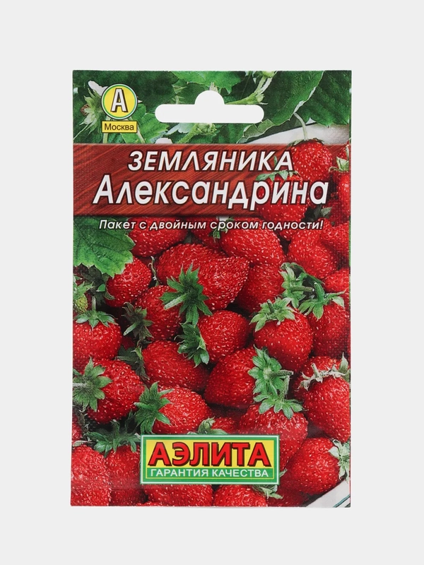 Земляника Александрина (семена)