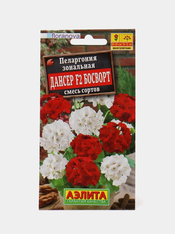 Пеларгония Дансер Босворт (семена,цветы)