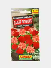 Пеларгония Дансер Ворвик (семена,цветы)