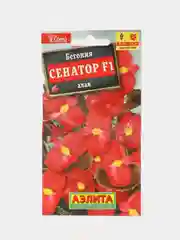 Бегония Сенатор алая (семена,цветы)