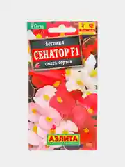 Бегония Сенатор смесь (семена,цветы)