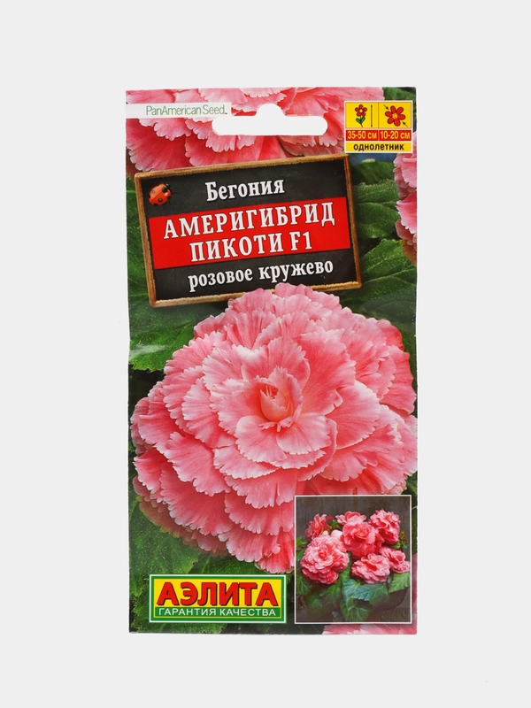 Бегония Америгибрид Пикоти розовое кружево (семена,цветы)