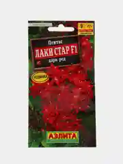Пентас Лаки стар дарк ред (семена,цветы)
