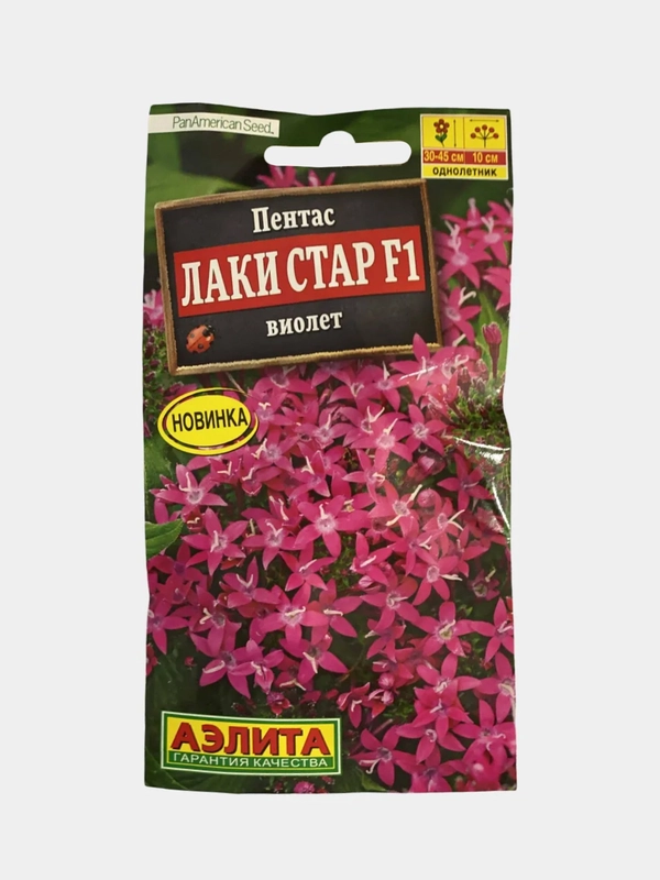 Пентас Лаки стар виолет (семена,цветы)
