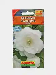 Бегония Камелия белая (семена,цветы)
