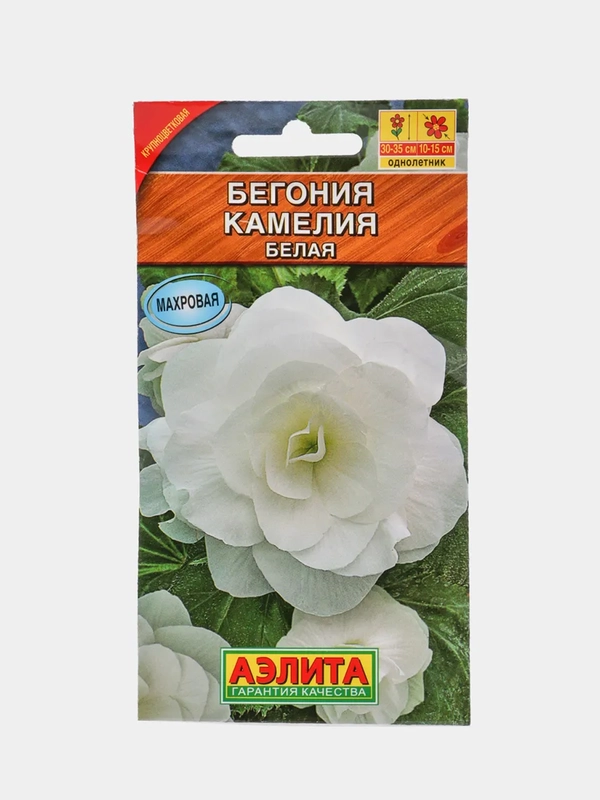 Бегония Камелия белая (семена,цветы)
