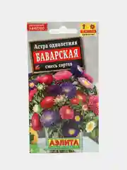Астра Баварская (семена,цветы)