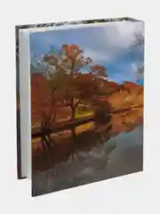 Горчичный фотоальбом "Микс", на 200 фото, 10 х 15, твёрдая обложка