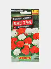 Пеларгония Дансер Йорк (семена,цветы)