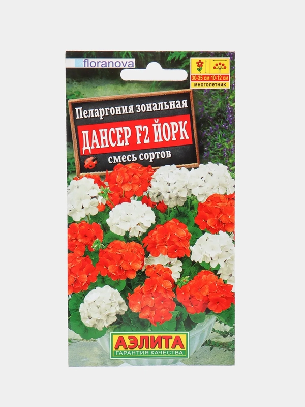 Пеларгония Дансер Йорк (семена,цветы)