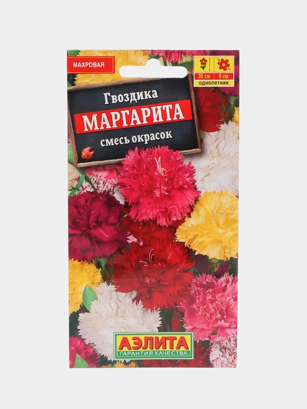 Гвоздика Маргарита (семена,цветы)