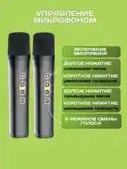 Музыкальная портативная Bluetooth-колонка, с караоке и двумя микрофонами