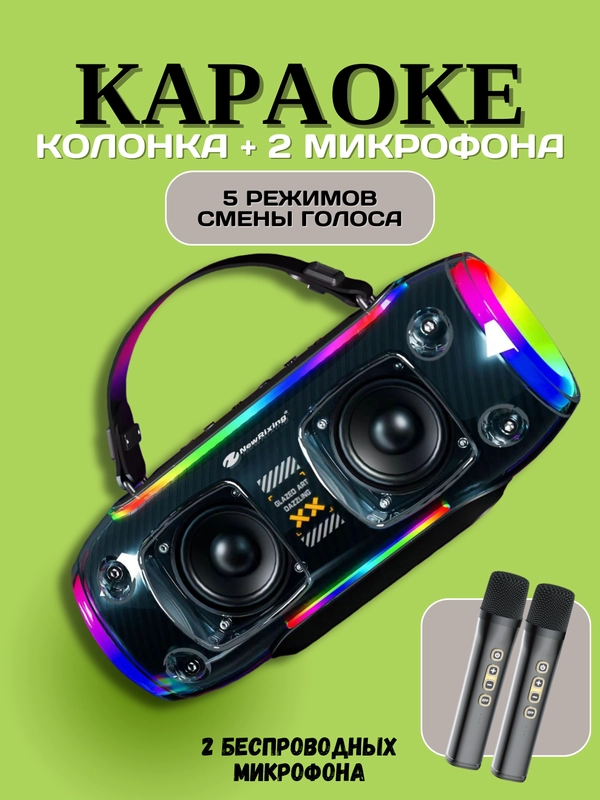 Музыкальная портативная Bluetooth-колонка, с караоке и двумя микрофонами
