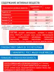 Бустер тестостерона Академия-Т Ecdysterone, 240 капсул
