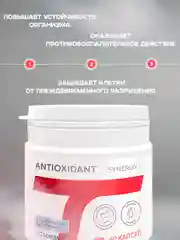 Антиоксидантный комплекс Академия-Т Antioxidant Synergy 7, 60 капсул