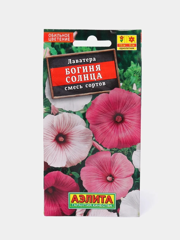 Лаватера Богиня солнца, семена, цветы