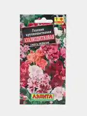 Годеция Азалиецветковая (семена,цветы)