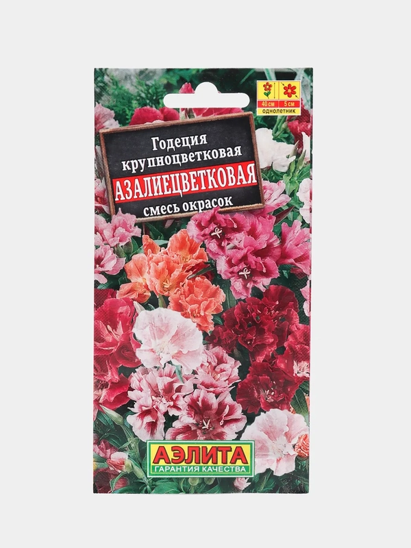 Годеция Азалиецветковая (семена,цветы)