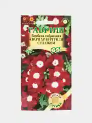 Семена цветов Вербена "Кварц бургунди с глазком"