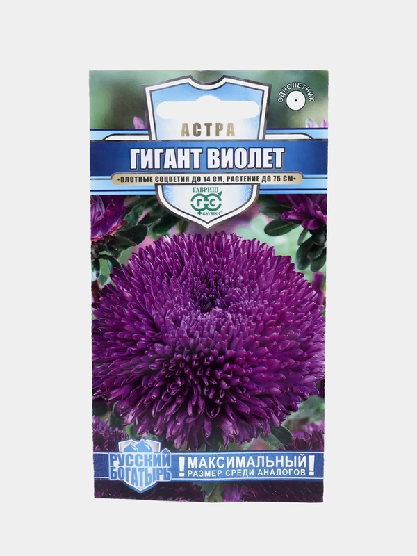 Семена цветов Астра "Гигант Виолет"