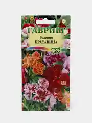 Годеция Красавица (семена,цветы)