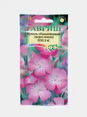 Семена цветов Куколь агростемма "Милас"