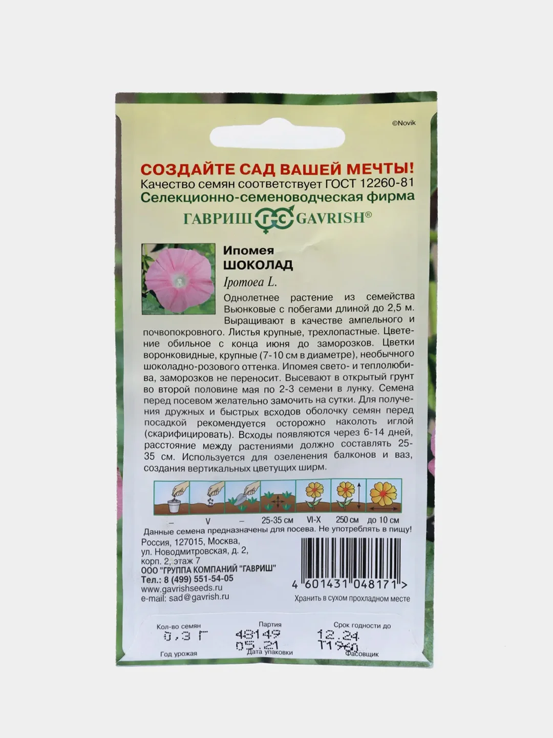 Семена цветов Ипомея "Шоколад"