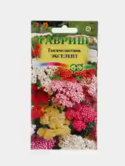 Тысячелистник Экселент (семена,цветы)