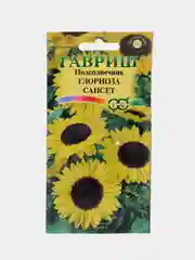 Подсолнечник Глориоза сансет декоративный (семена,цветы)