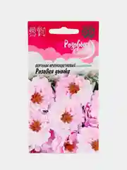 Семена цветов Портулак "Розовая дымка"