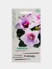 Платикодон Исида (семена,цветы)