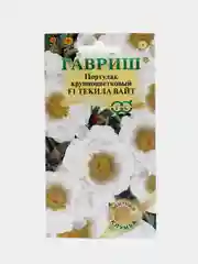 Портулак "Текила вайт", семена, цветы