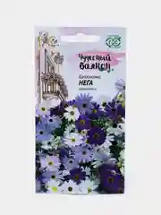 Брахикома Нега (семена,цветы)