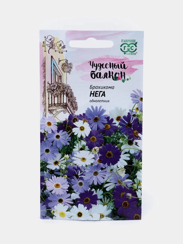 Брахикома Нега (семена,цветы)