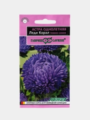 Семена цветов Астра "Леди Корал темно-синяя"