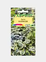 Хоста Патрисия (семена,цветы)
